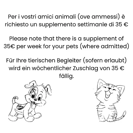 Ipanema - Walterigato Solo Per Famiglie